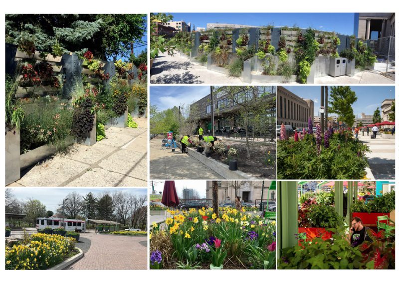 District Horticulture