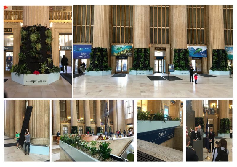 Amtrak Gardens